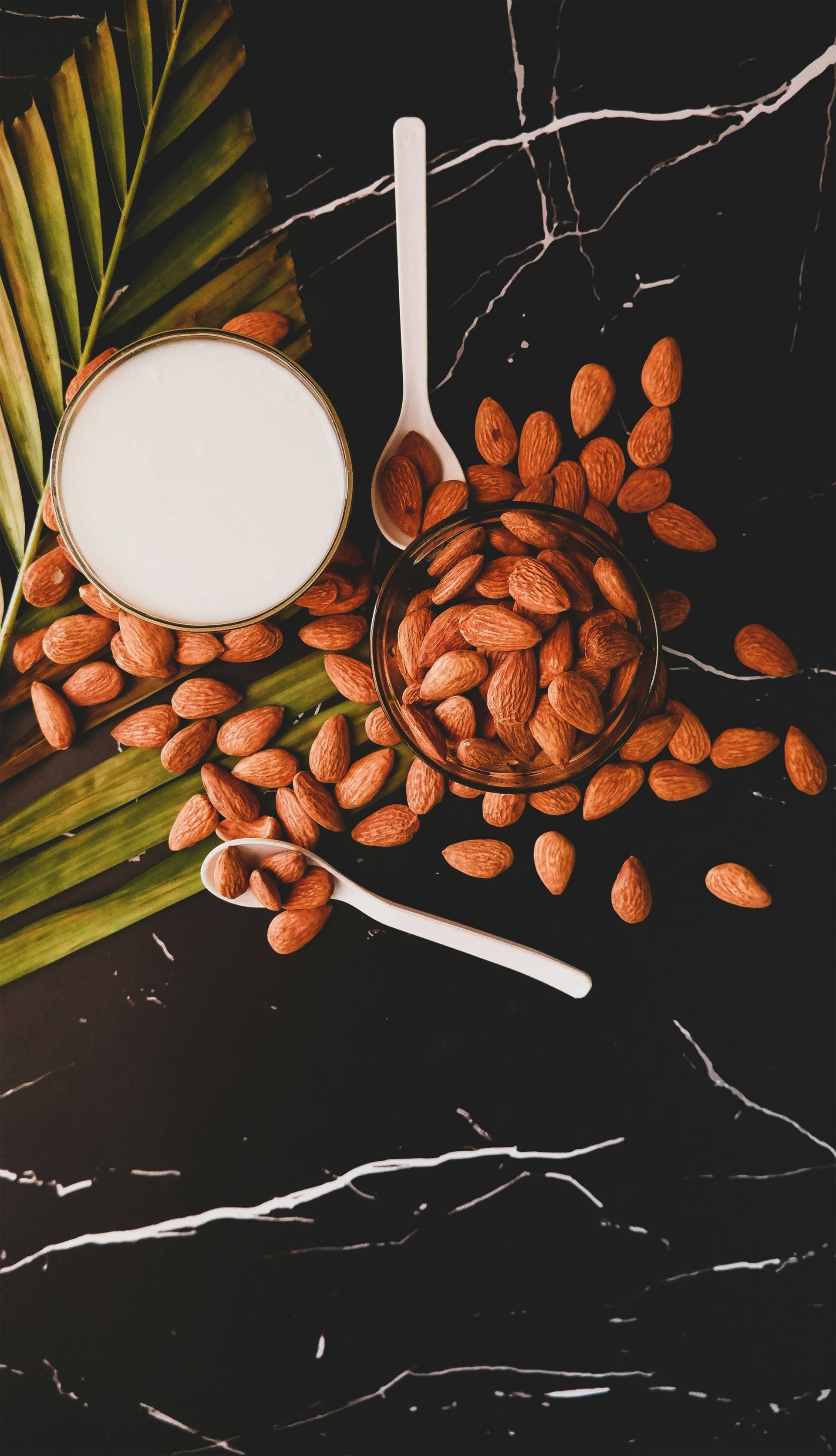 Almond Joy Oat Bar