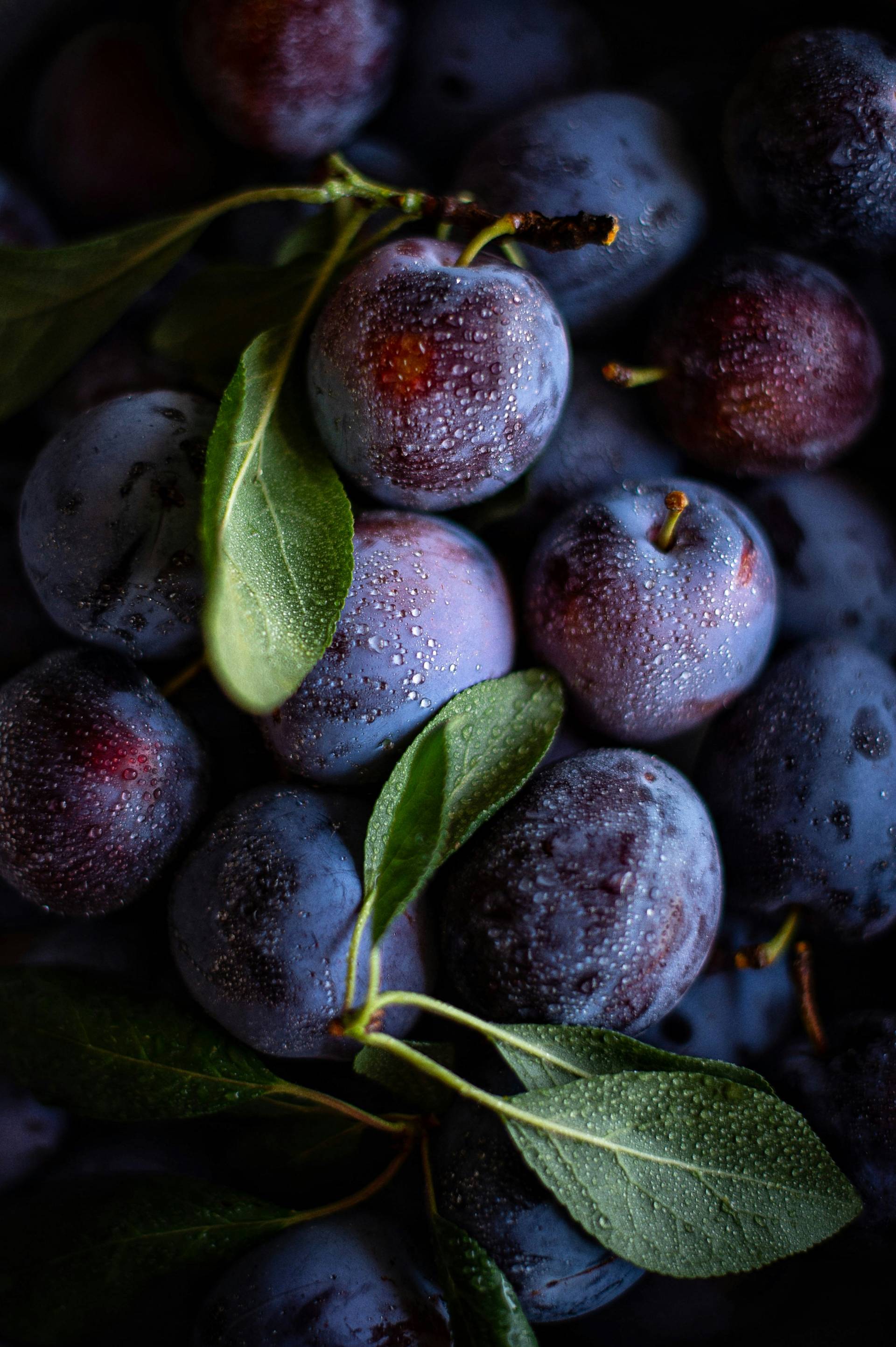 Plum & Cucumber Salad